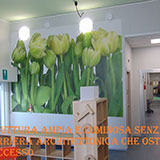 Studio Dentistico